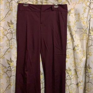 Burgundy slacks